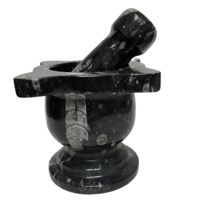 Mortar And Pestle Fossil With Scalloped Top Black Mineral