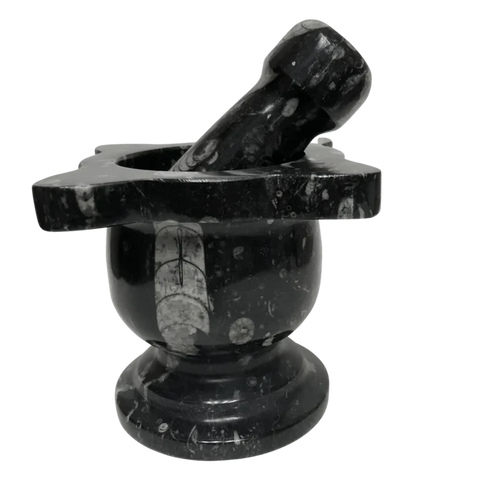 Mortar And Pestle Fossil With Scalloped Top Black Mineral