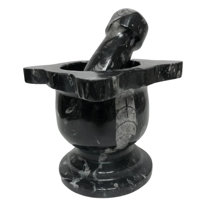 Mortar And Pestle Fossil With Scalloped Top Black Mineral
