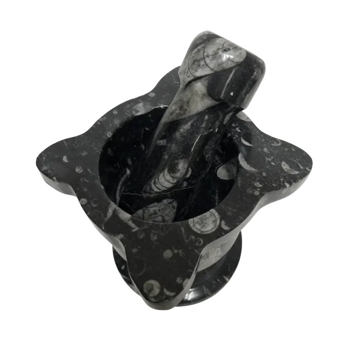 Mortar And Pestle Fossil With Scalloped Top Black Mineral