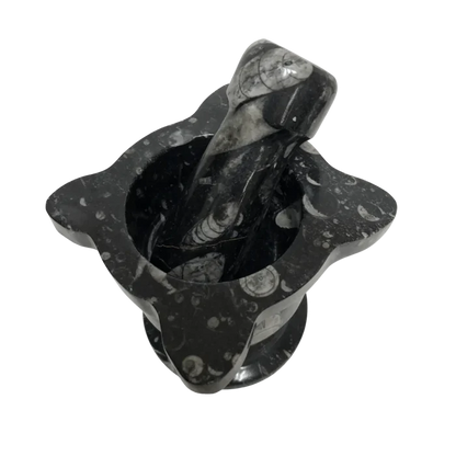 Mortar And Pestle Fossil With Scalloped Top Black Mineral