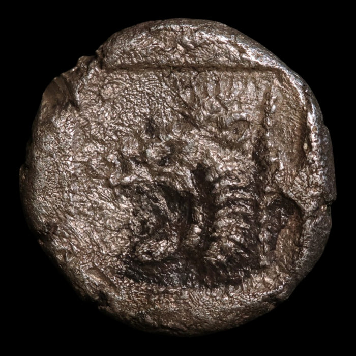 Mysia, City of Kyzikos, AR Hemiobol, Boar & Lion - 54 CE - Greek World