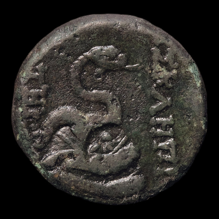 reverse