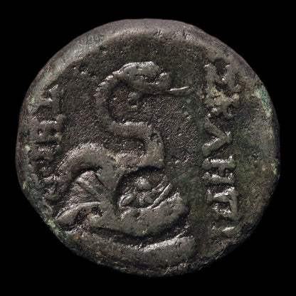 reverse