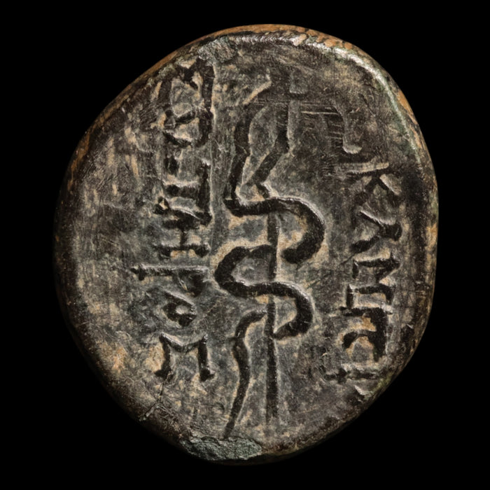 Mysia, City of Pergamon, AE Unit, Asclepius (God of Medicine) - 133 to 27 BCE - Greek World