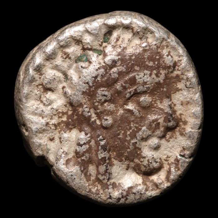 Nabatea (Petra), King Malichus II, AR Drachm - 30 to 70 CE - Greek World