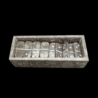 This is a view of the dominos inside of the case