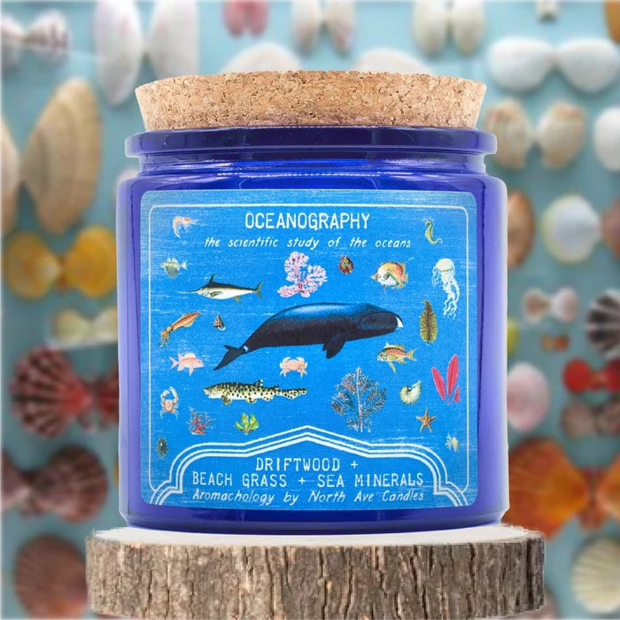 Oceanography Driftwood, Beach Grass & Sea Minerals Scented Jar Candle