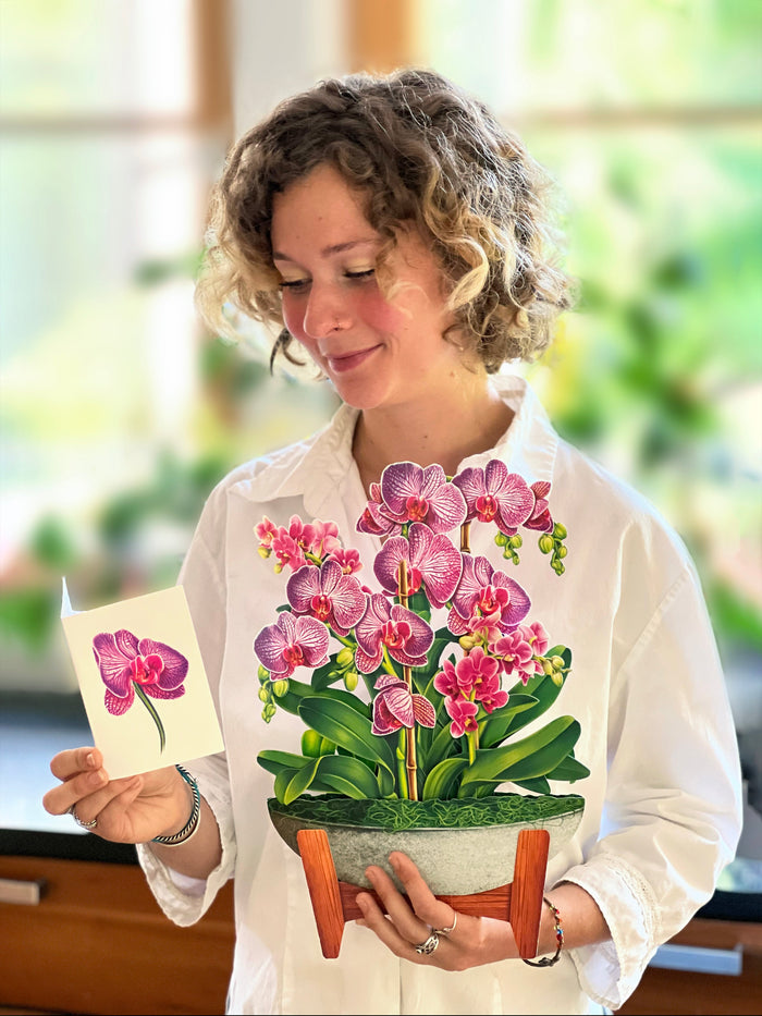 Orchid Oasis Pop-Up Flower Bouquet