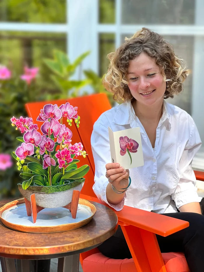 Orchid Oasis Pop-Up Flower Bouquet