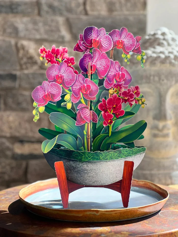 Orchid Oasis Pop-Up Flower Bouquet