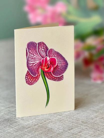 Orchid Oasis Pop-Up Flower Bouquet