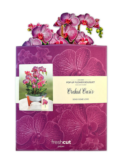 Orchid Oasis Pop-Up Flower Bouquet