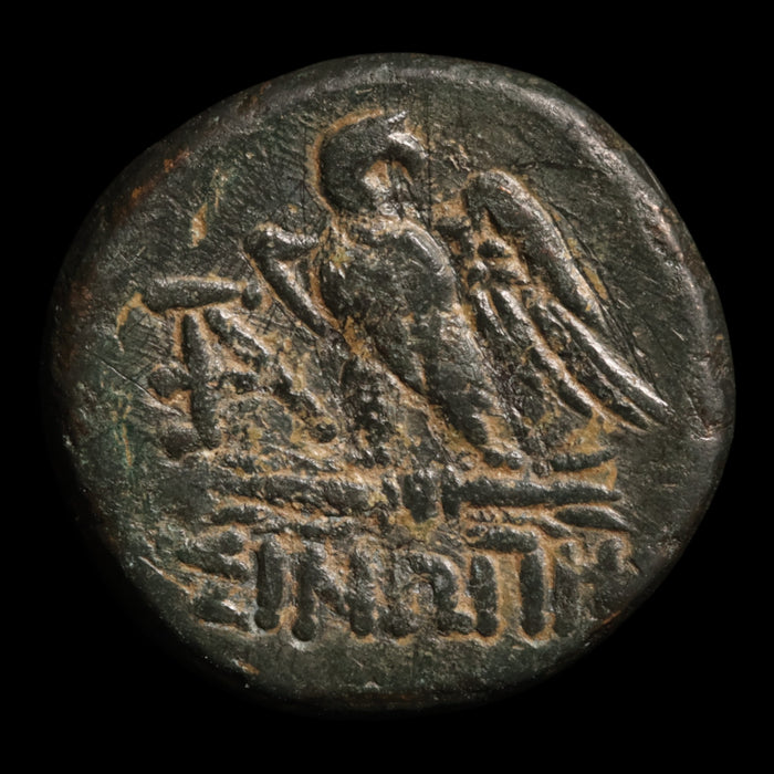 Paphlagonia, City of Sinope, AE Unit, Zeus & Eagle - c. 120 to 63 BCE - Greek World