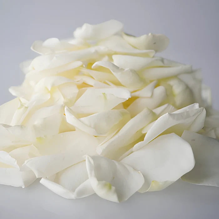 Dried White Garden Rose Petals
