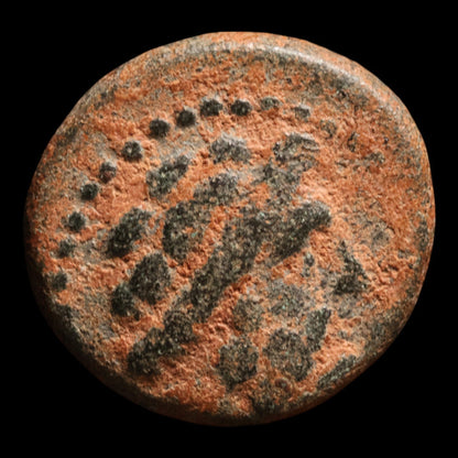Phoenicia, City of Arados, Bronze Unit (Zeus) - c. 200 to 100 BCE - Greek World