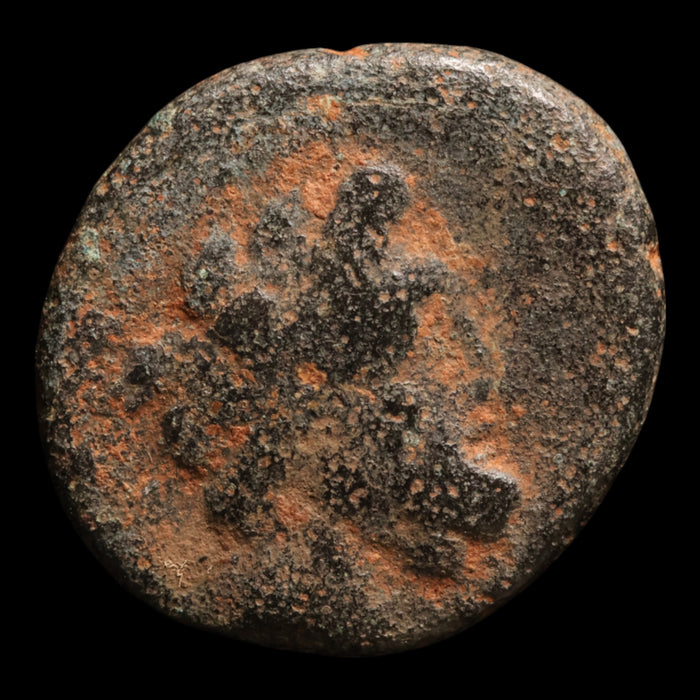 Phoenicia, City of Arados, Bronze Unit (Zeus) - c. 200 to 100 BCE - Greek World
