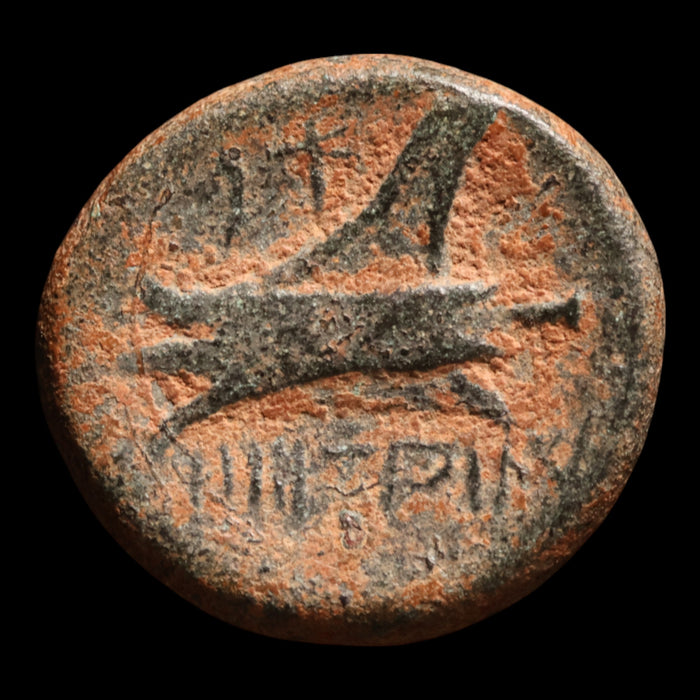 Phoenicia, City of Arados, Bronze Unit (Zeus) - c. 200 to 100 BCE - Greek World