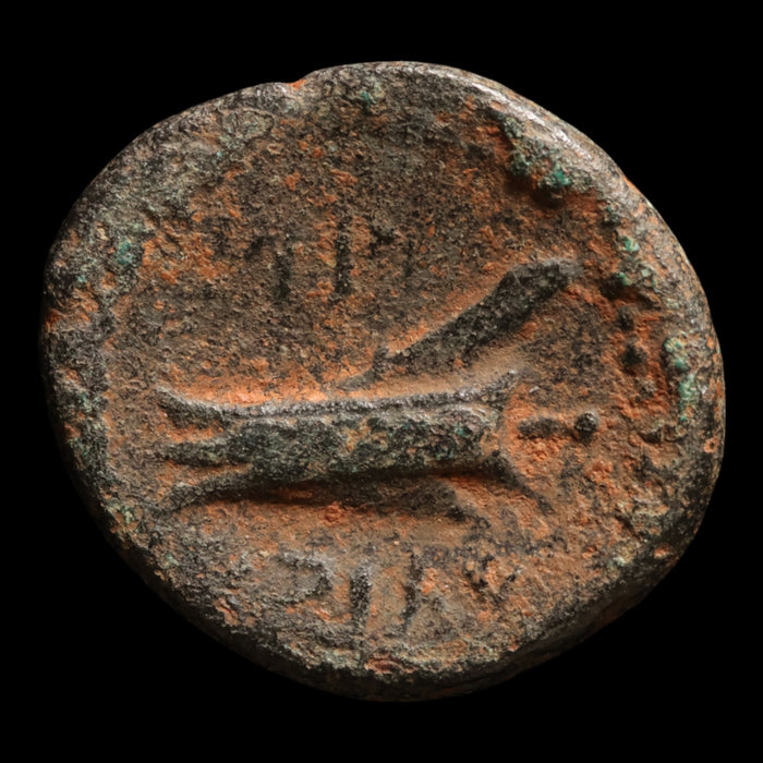 Phoenicia, City of Arados, Bronze Unit (Zeus) - c. 200 to 100 BCE - Greek World