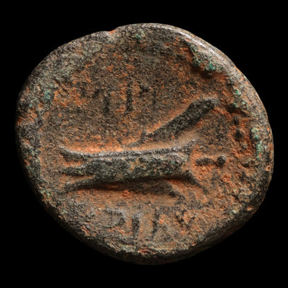 Phoenicia, City of Arados, Bronze Unit (Zeus) - c. 200 to 100 BCE - Greek World