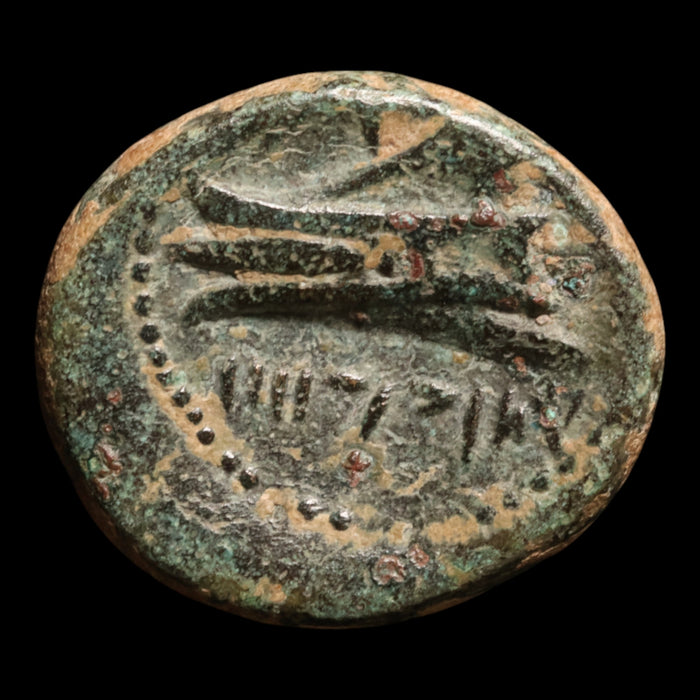 Phoenicia, City of Arados, Bronze Unit (Zeus) - c. 200 to 100 BCE - Greek World