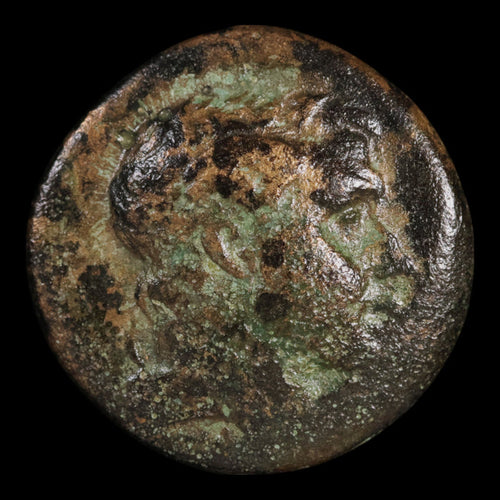 Pontus, City of Amisos, Bronze Unit, Perseus & Cornucopia - 110 to 100 BCE - Greek World