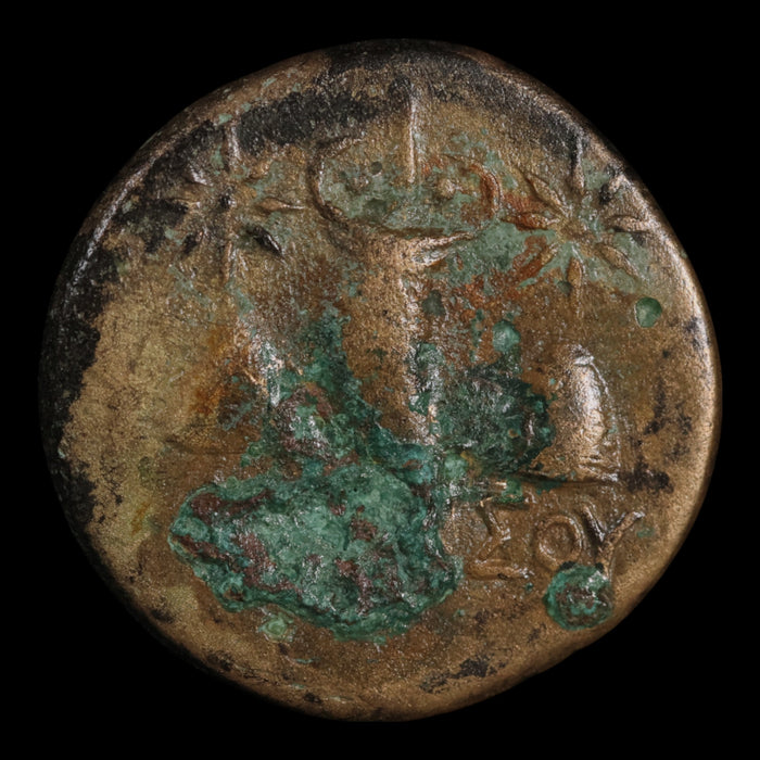 Pontus, City of Amisos, Bronze Unit, Perseus & Cornucopia - 110 to 100 BCE - Greek World