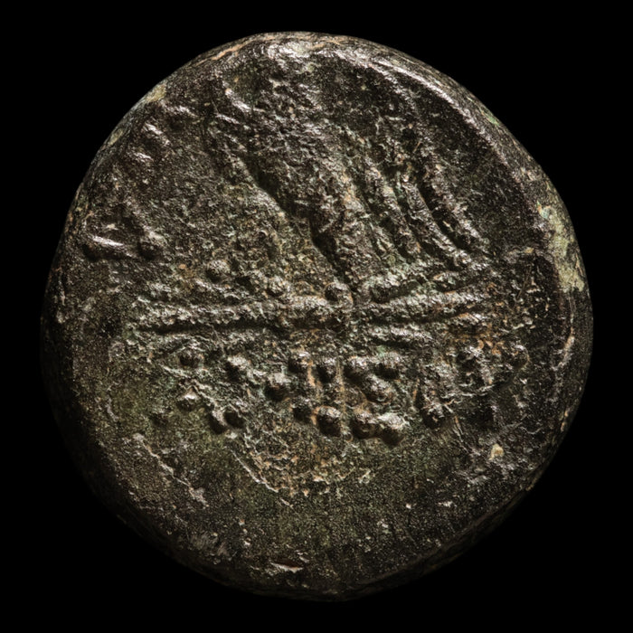 Pontus, City of Amisos, Bronze Unit, Zeus & Eagle - 120 to 63 BCE - Greek World