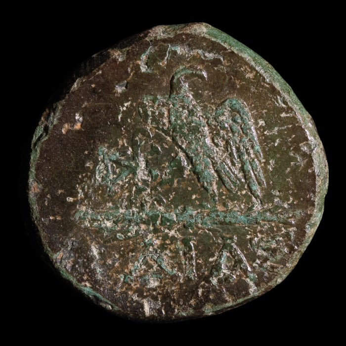 Pontus, City of Amisos, Bronze Unit, Zeus & Eagle - 120 to 63 BCE - Greek World