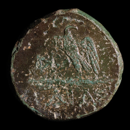 Pontus, City of Amisos, Bronze Unit, Zeus & Eagle - 120 to 63 BCE - Greek World