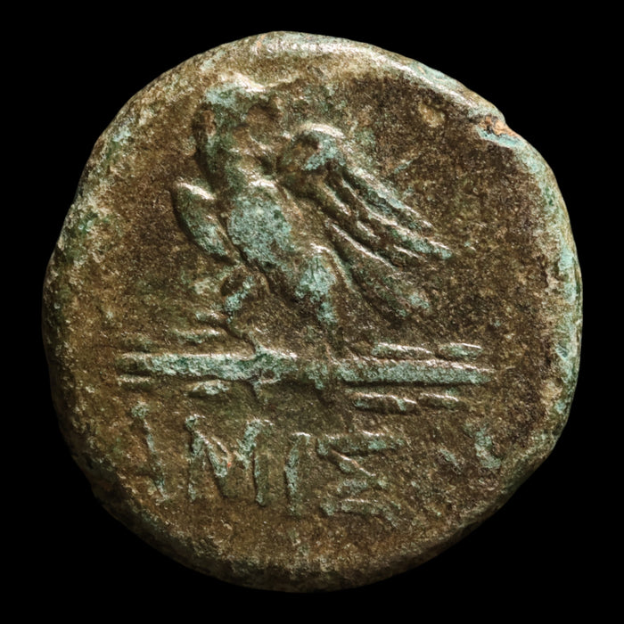 Pontus, City of Amisos, Bronze Unit, Zeus & Eagle - 120 to 63 BCE - Greek World