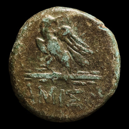 Pontus, City of Amisos, Bronze Unit, Zeus & Eagle - 120 to 63 BCE - Greek World