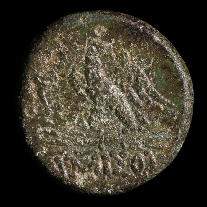 Pontus, City of Amisos, Bronze Unit, Zeus & Eagle - 120 to 63 BCE - Greek World