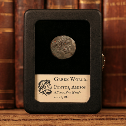 Pontus, City of Amisos, Bronze Unit, Zeus & Eagle - 120 to 63 BCE - Greek World