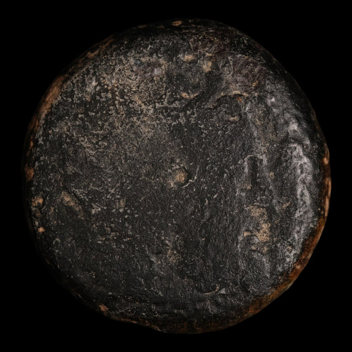 Ptolemaic Kingdom of Egypt, Ptolemy II, Large AE Drachm, Zeus & Eagles - 266 to 261 BCE - Ancient Egypt