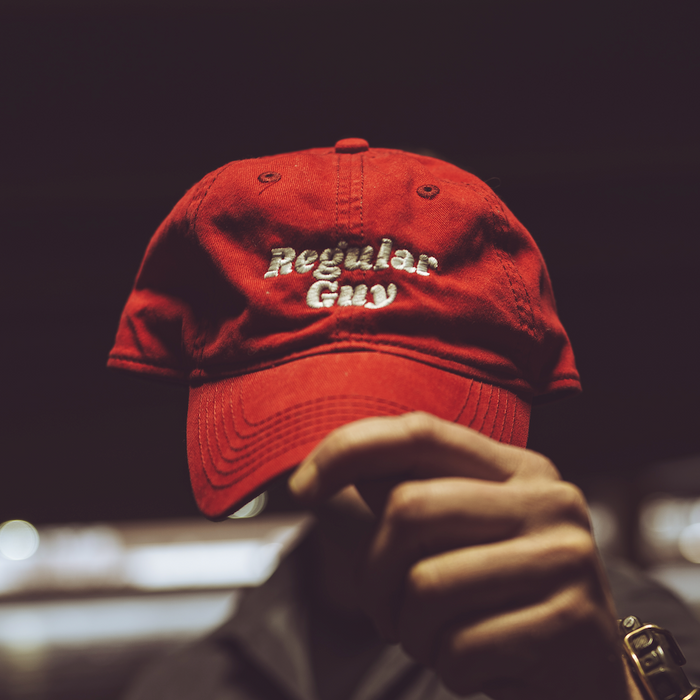 Regular Guy Dad Hat