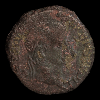 Roman Provincial, Emperor Tiberius, Hispania - 14 – 37 CE - Roman Empire