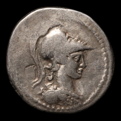 Roman Republic, C. Vibius Varus, AR Denarius, Minerva & Hercules - 42 BCE - Roman Republic