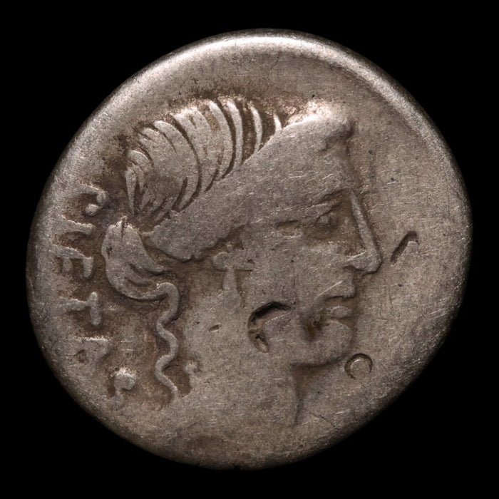 Roman Republic, D. Iunius Brutus, AR Denarius (Julius Caesar as Dictator) - 48 BCE - Roman Republic