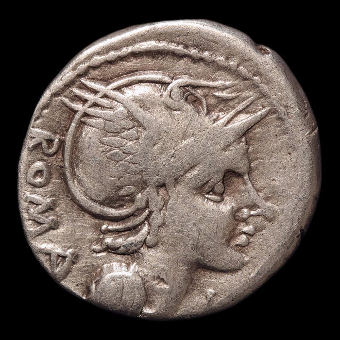 obverse
