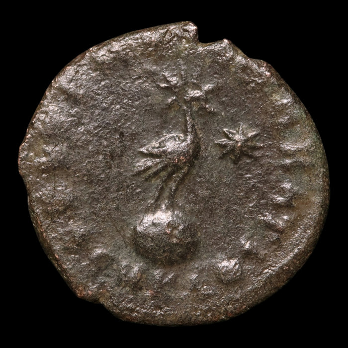 reverse