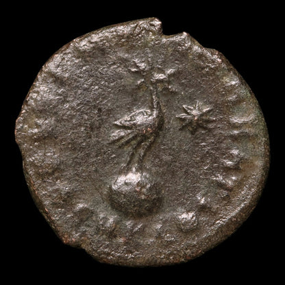reverse