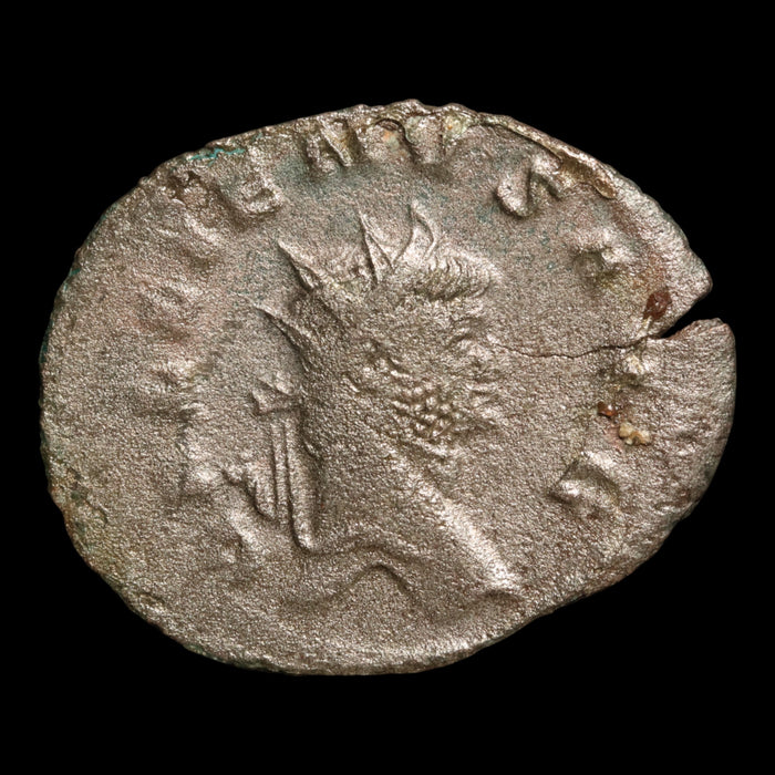 Rome, Emperor Gallienus, AR Antoninianus, Felicitas (Divine Productivity) - 260 to 268 CE - Roman Empire