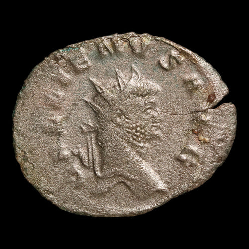 Rome, Emperor Gallienus, AR Antoninianus, Felicitas (Divine Productivity) - 260 to 268 CE - Roman Empire