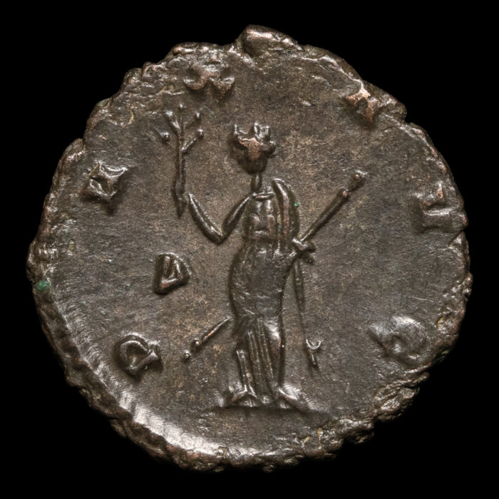 Rome, Emperor Gallienus, BI Antoninianus, Pax (Goddess of Peace) - 260 to 268 CE - Roman Empire
