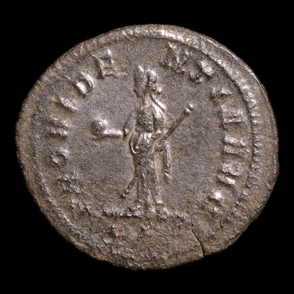 Rome, Emperor Probus, AR Antoninianus, Providentia (Deity of Prediction) - 276 to 282 CE - Roman Empire