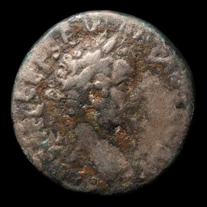 Rome, Emperor Septimius Severus, AR Denarius, Crossed Cornucopiae - 194 to 195 CE - Roman Empire