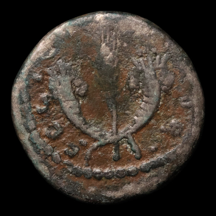Rome, Emperor Septimius Severus, AR Denarius, Crossed Cornucopiae - 194 to 195 CE - Roman Empire