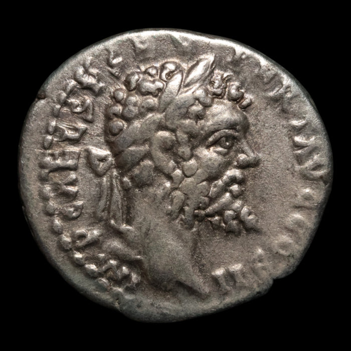 Rome, Emperor Septimius Severus, AR Denarius, Fortuna or Hilaritas - 194 to 195 CE - Roman Empire