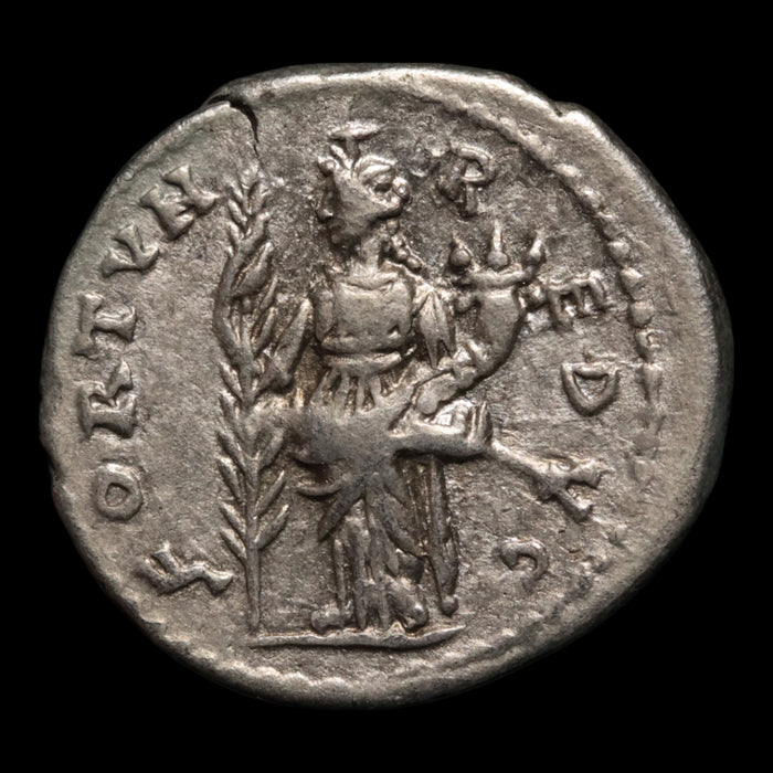 Rome, Emperor Septimius Severus, AR Denarius, Fortuna or Hilaritas - 194 to 195 CE - Roman Empire